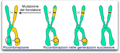 Effetto del fondatore